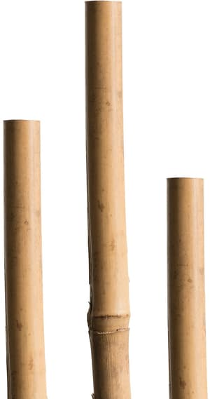 Sostegno di bambù 150 cm
