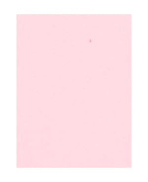 Gomma muschio 30 x 40 cm, rosa chiaro