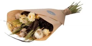 Bouquet de fleurs séchées Mira Brun/Nature