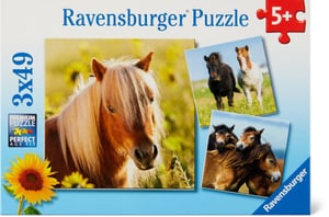 Adorables poneys Puzzle