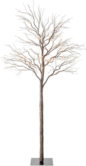 Fiaba Baum, 176 LED, 2,5 m, Braun
