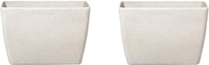 Set di 2 vasi polvere di pietra beige chiaro 60 x 27 cm BARIS