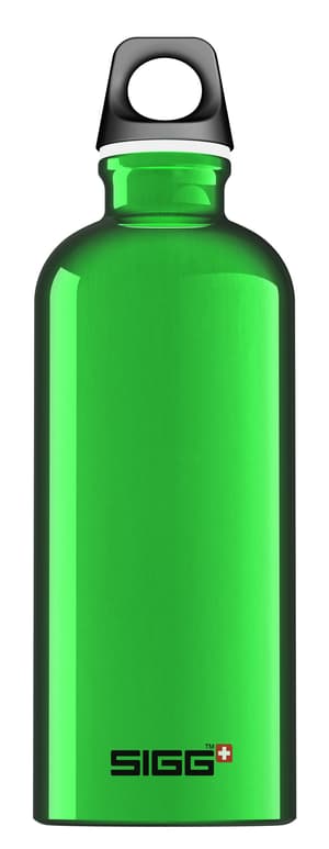 Bottle Traveller Green