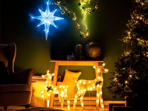Outdoor Weihnachtsbeleuchtung LED weiss Sternform 67 cm OSMA