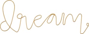 DREAM