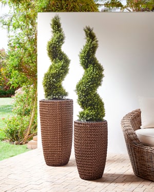 Lot de 2 pots de fleurs en polyrotin marron CEDRUS