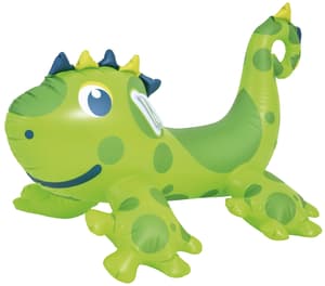 Dinosaurier Rider