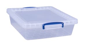 Box di plastica 10.5L
