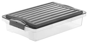 Compact Aufbewahrungsbox 6l mit Deckel, Kunststoff (PP) BPA-frei, grau/transparent, A4