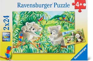 Koala e panda Puzzle