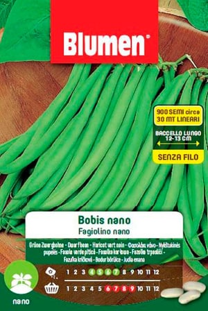 Fagiolo BOBIS NANO