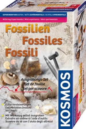 Ausgrabungs-Set Fossilien