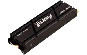 FURY Renegade M.2 2280 NVMe 500 GB Heatsink