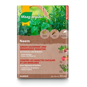 Maag Neem, 30 ml