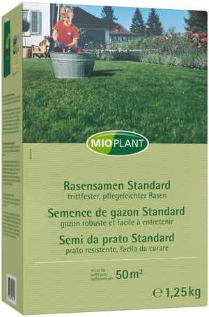 Rasensamen Standard, 50 m2