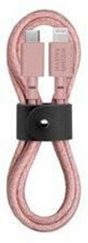 Câble USB-C vers Lightning 1,2 m Rose