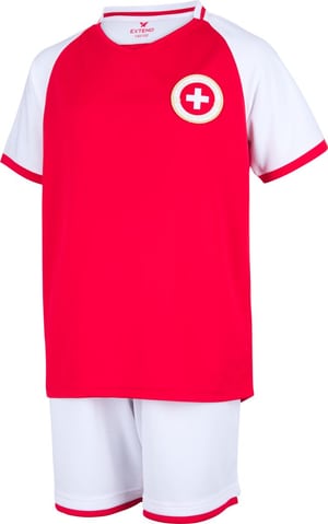 Fanset Schweiz