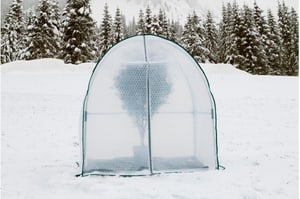Winterschutz-Haube Yurt mit Isofolie L, 180 x 180 x 200 cm