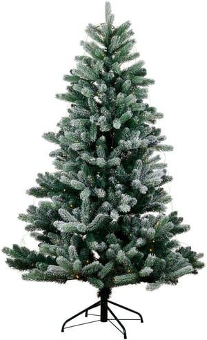Weihnachtsbaum Anton, 2.1 m, 273 LEDs, Grün