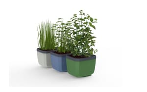 HERBS BUDDY Pot à herbes aromatiques Set de 3 pièces Gris