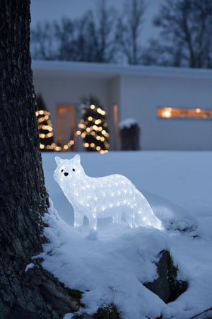 Fox Polar LED acrilico
