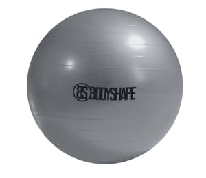 Gym-Ball ABS Ø 65 cm