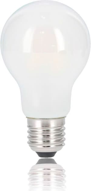 Filament LED, E27, 806lm remplace une ampoule à incandescence de 60W, blanc chaud, mat, RA90, dim.