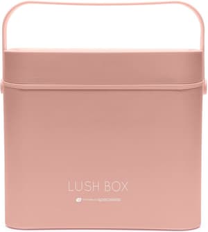 Beauty Case Lush Box