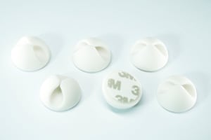 Beans white