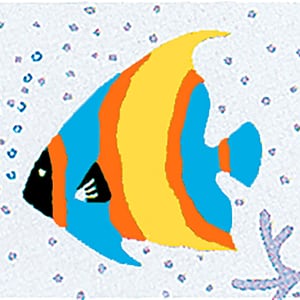 Fish Multicolor