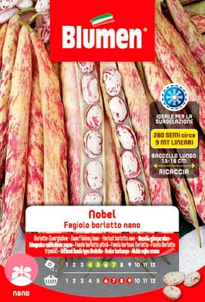 Fagiolo di Bush BORLOTTI NOBEL