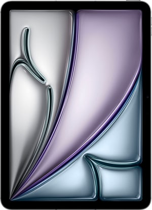 iPad Air 11" M2 Cellular 2024 1000 GB gris sidéral