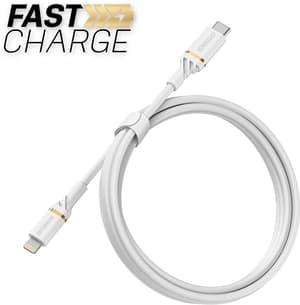 Fast Charging Lightning - USB C 1 m