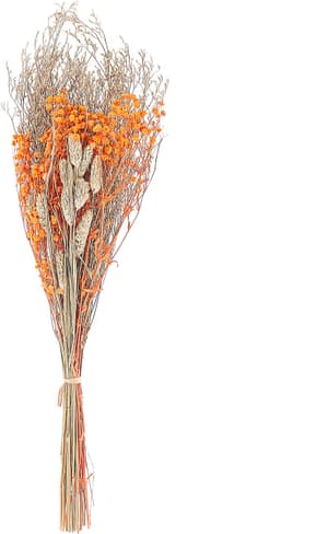 Trockenblumen orange / naturfarben 65 cm CERCEDILLA