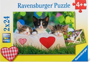 Chatons au repos Puzzle