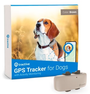 Traceur GPS de traction pour chiens avec suivi d'activité et dernière technologie LTE
