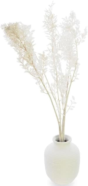 Fiori secchi Ruscus 70-75 cm, Bianco