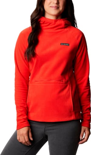 Ali Peak Hooded Fleece