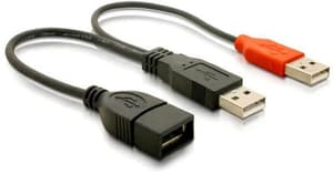 Câble USB 2.0 en Y USB A - USB A 0,22 m