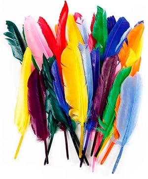 Plumes 17 - 20 cm 250 pièces