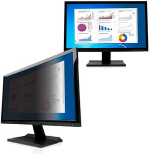 Display Privacy Filter 22"