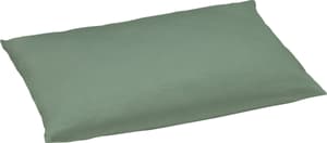 VITALE II