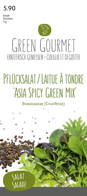 Pflücksalat 'Asia Spicy Green Mix' 5g