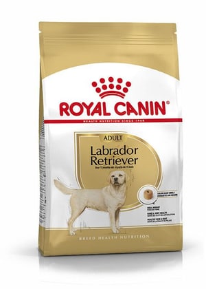 Labrador Retriever Adult, 3 kg