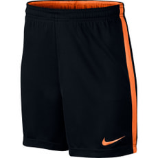 Kids' Dry Academy Football Short