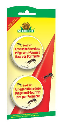 Loxiran AmeisenKöderdose