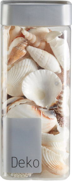 Deko Muscheln