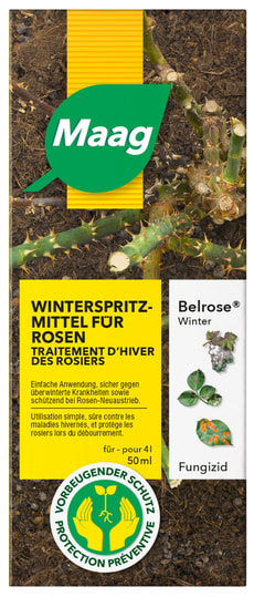 Belrose Winter, 50 ml