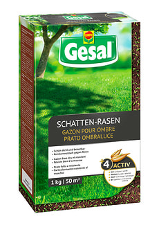Schatten-Rasen, 1 kg
