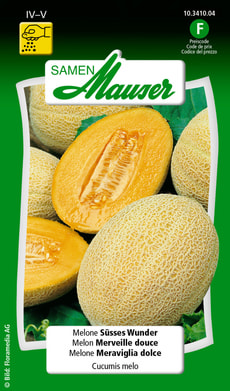 Melone Süsses Wunder